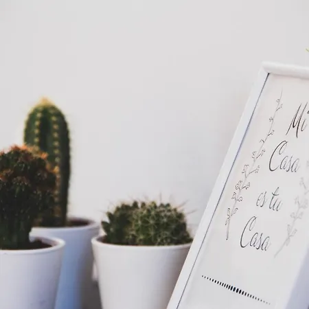 Renovado Y Sofisticado En El Centro De 아파트 발렌시아